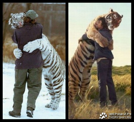 ��������� :)