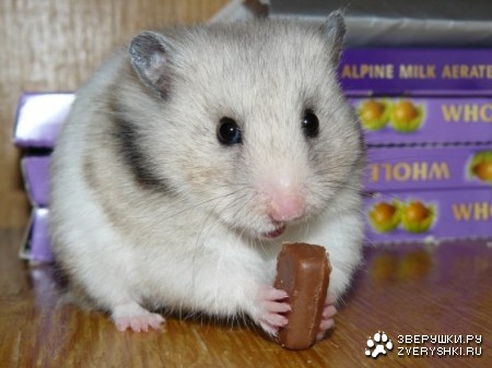 ��������� :)