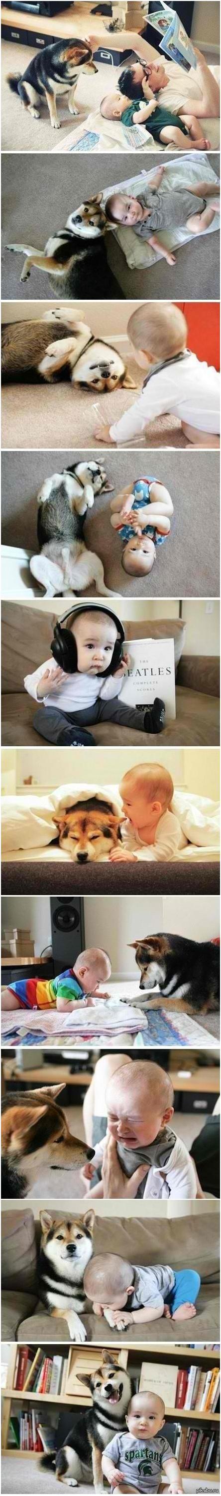 ������ ���������� � ������� (10 ����)