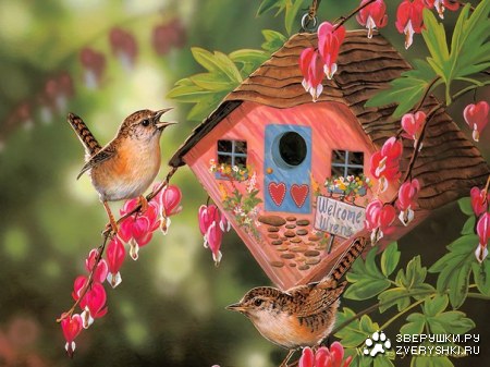 ��������� ������ ��� ���� �� Janene Grende (5 ����)