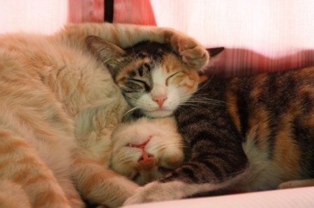 � ��� ��� ������ ;)