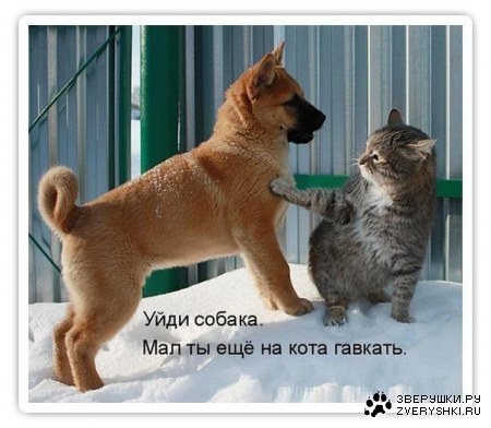 ������ ������ :)