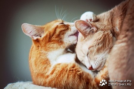 ������ � ������ ������! :)