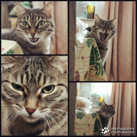 ������� ������ ;)