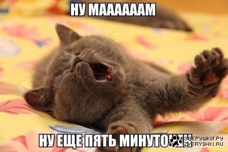 ������� ���� ����� �������� ;)