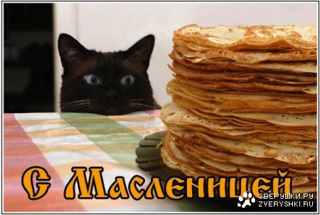 � ����������! :)