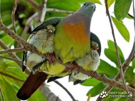 ����������� ������ � ����� ;)