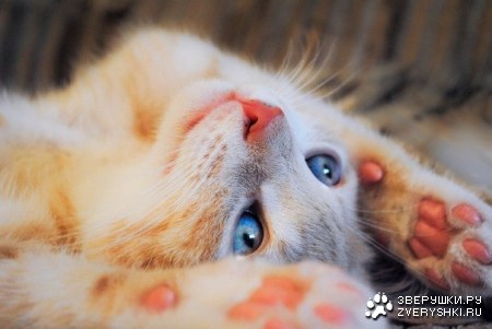 ��������� ;)