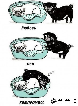 ������ - ��� ���������� ;)