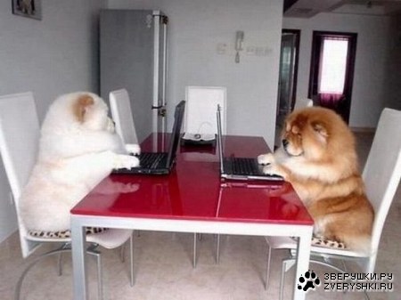 ����������� ������ ;)