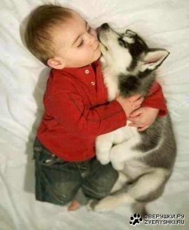 ������ ;)