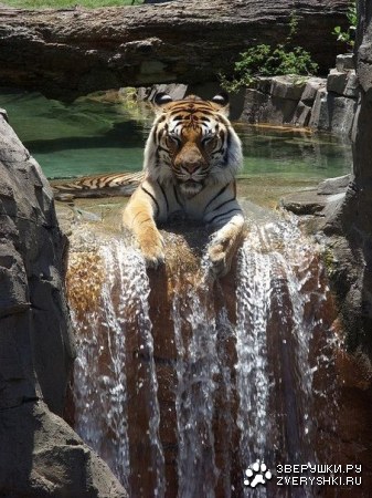 ������ ;)