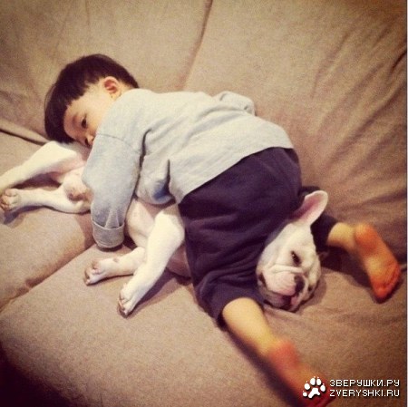 ������ ����� � ��� (6 ���� )