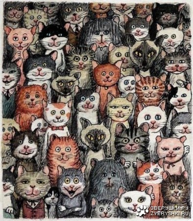 �������� ���� :)