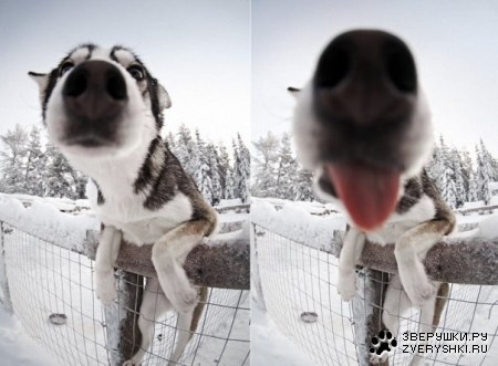 � ����� ����, ������!