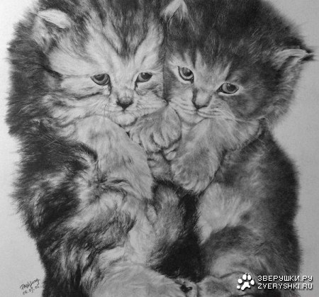 ������� ���������� (16 ���� )