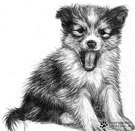 ������� ���������� (16 ���� )