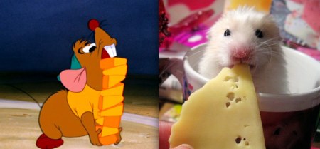 ����������� �������� � �������� ����� (10 ����)