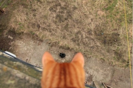 ������, ������ ������! :)