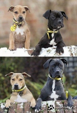 5 ��� ������!