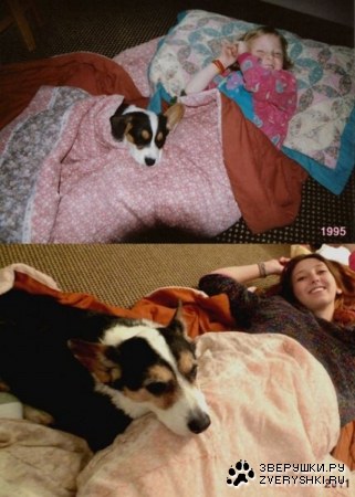 ������� ������! (5 ����)