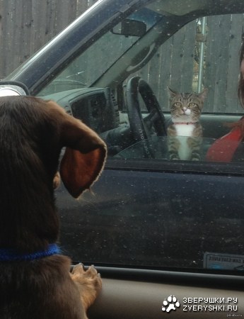 ��� �� � �����������... ;)