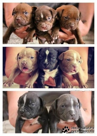 ��������� ��������� ;)