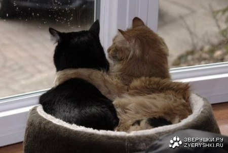 ��������� ������� ���� ;)