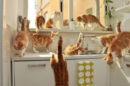 ������ ����� ���� �������... :)