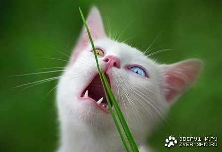 ���� ���� ���� ����� ;)