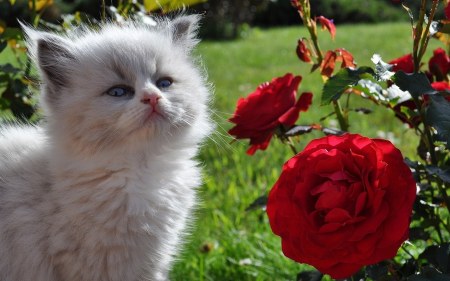 �������� ��� ����������! :)