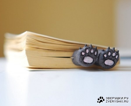 ��������� �������� :)