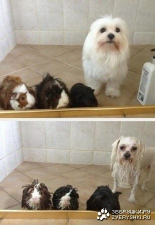 �� � ����� ������� :)