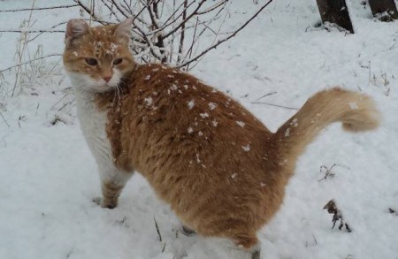 ������ �� ������� ������� :)