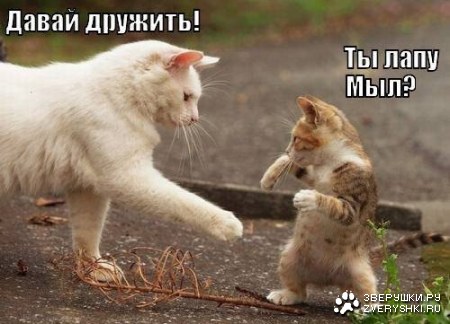 ��������� ���� :)