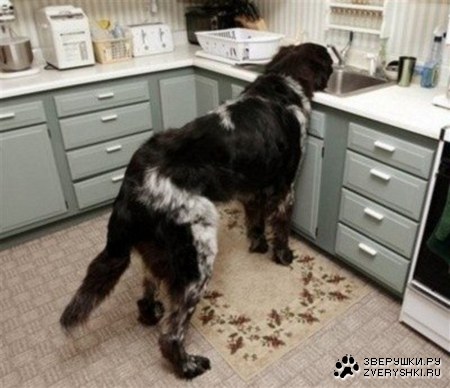 �������� ������ ( 8 ���� )