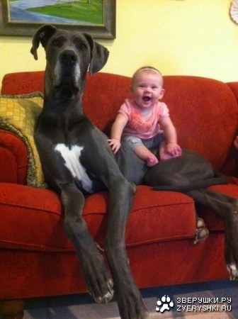 �������� ������ ( 8 ���� )