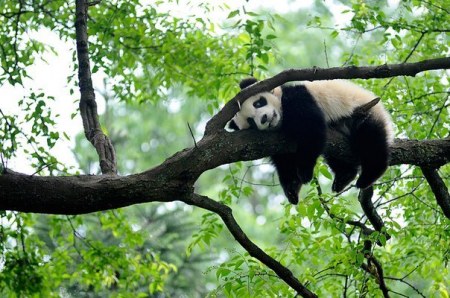 �������� ;)