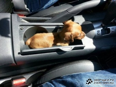 ����������! :)