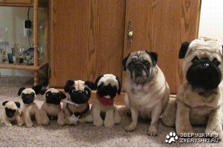 �������������� :)