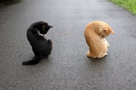 ��������� :)