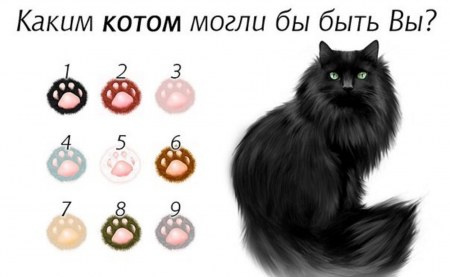 ����: ����� ����� ����� �� ���� ��? ( 9 ���� + ���������)