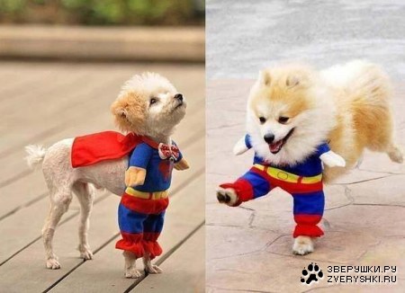 ��� ������ ��� ;)