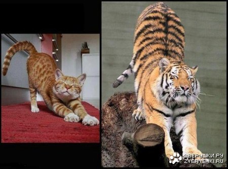 ����� 10 ������� :)