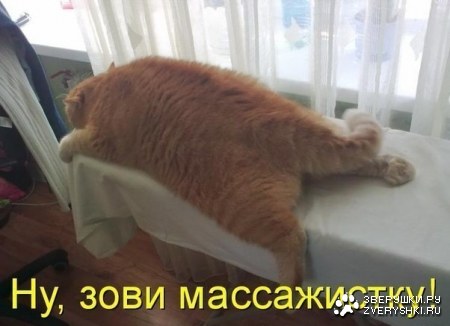 � ������� �����! ;)