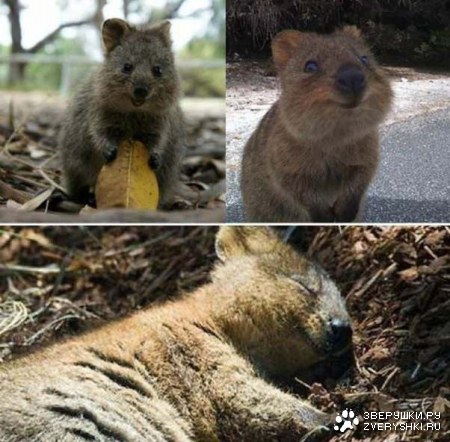 ����� ���������� �������� �� �����! :)