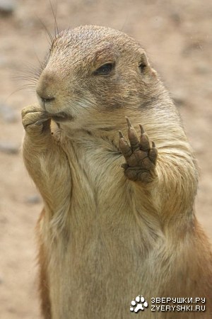 �� ���������, ����� ��������! ;)