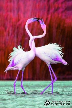 ��������� ;)