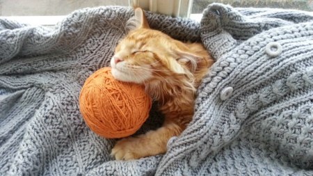 �������� ������� :)