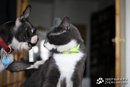 ����� ������ ��-��������! ;)